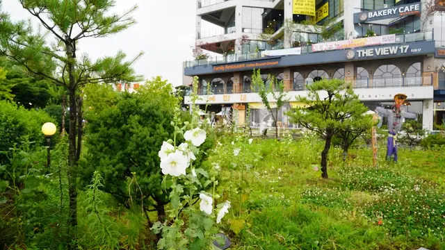 기흥호수공원 사진