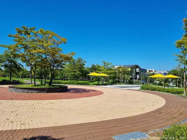 모담공원유아숲체험장 사진